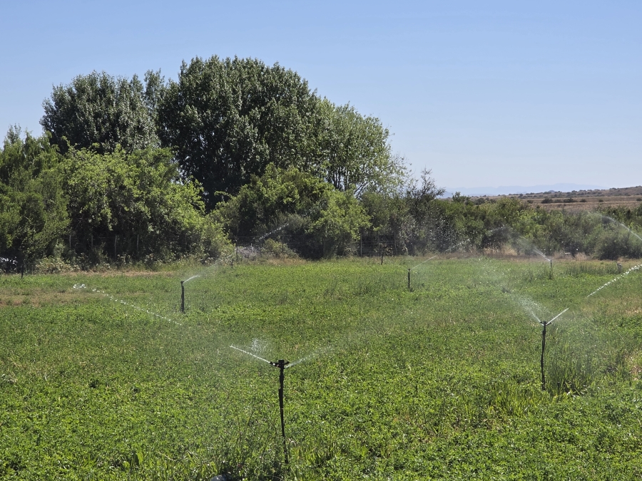 0 Bedroom Property for Sale in Middelburg Rural Eastern Cape